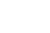 WILD FERN DESIGN
